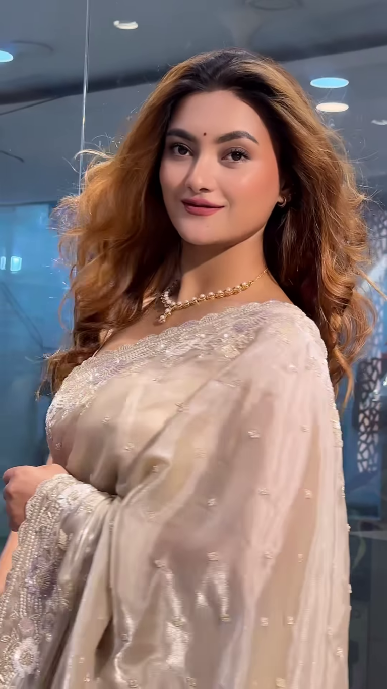 party modern embroidered with heavy border organza brown saree with unstitched blouse