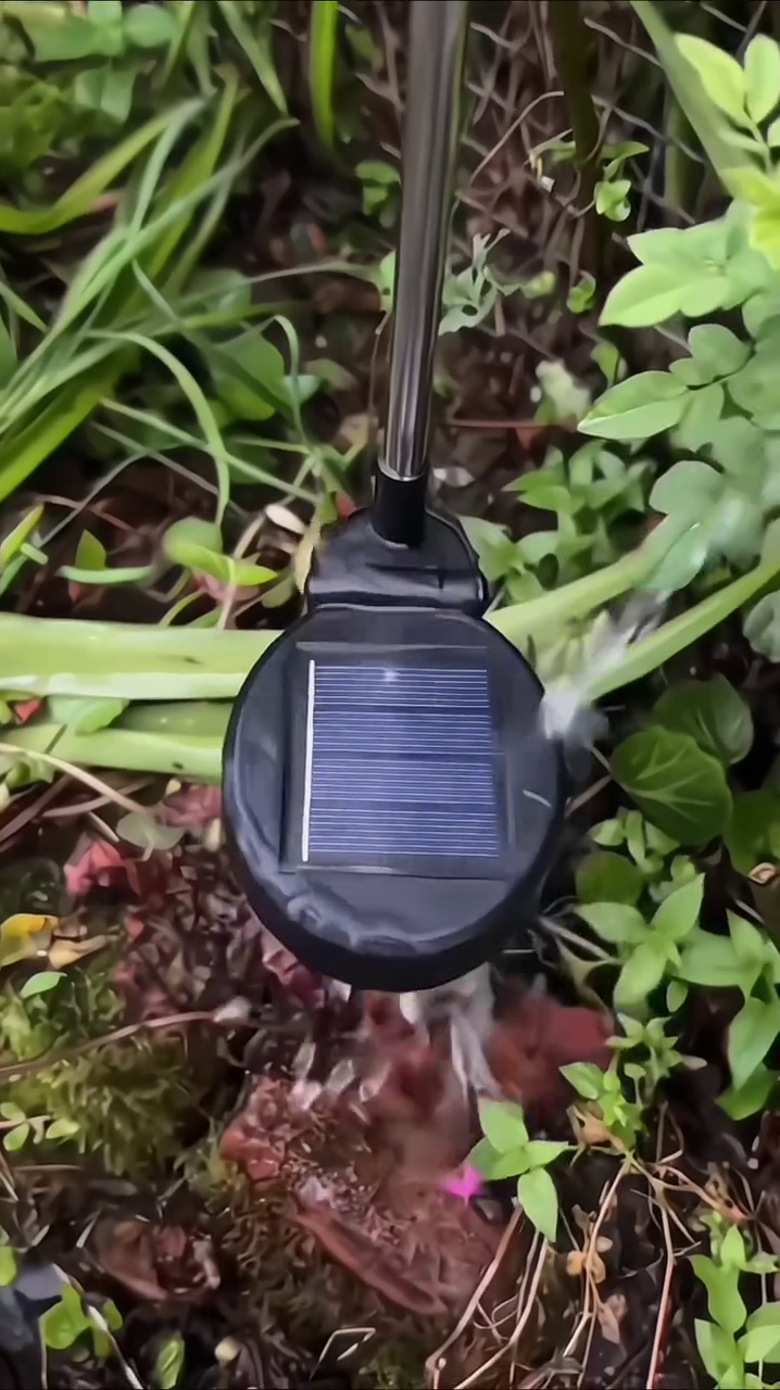 “starburst led firework light – multi color fiber optic lamp for home decor and celebrations”