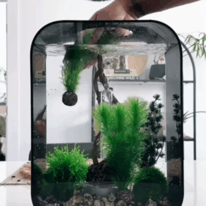 440 1 600x1068 1.png