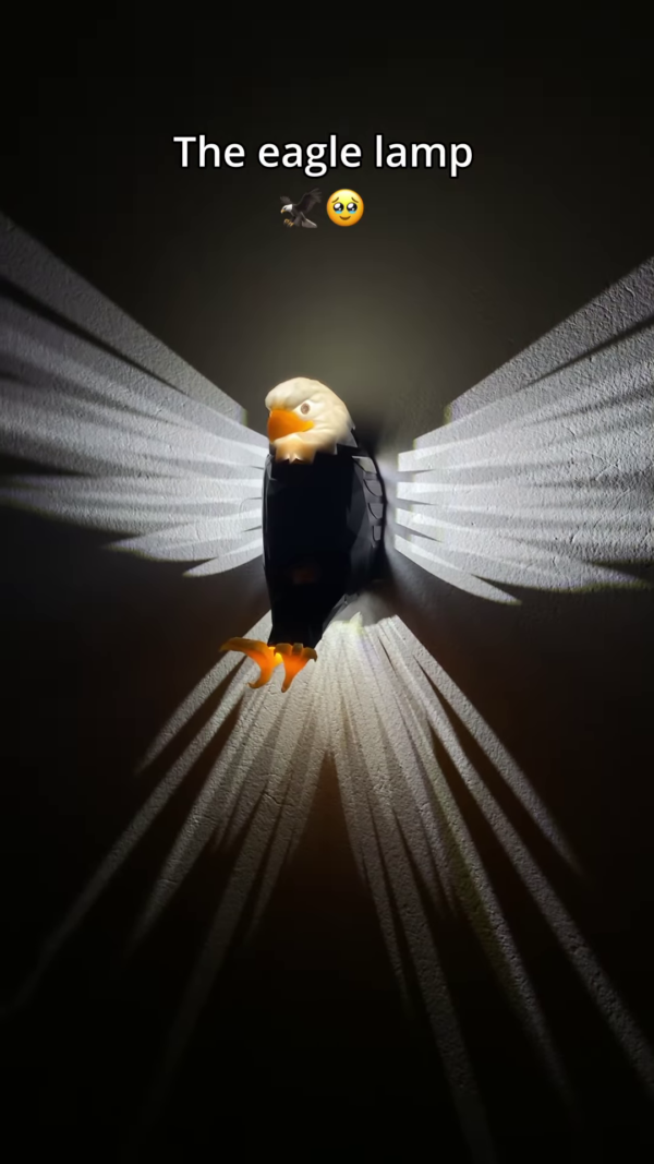 443 1 600x1067 1.png