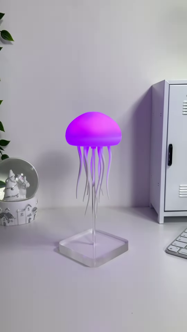 454 3 600x1067 1.png